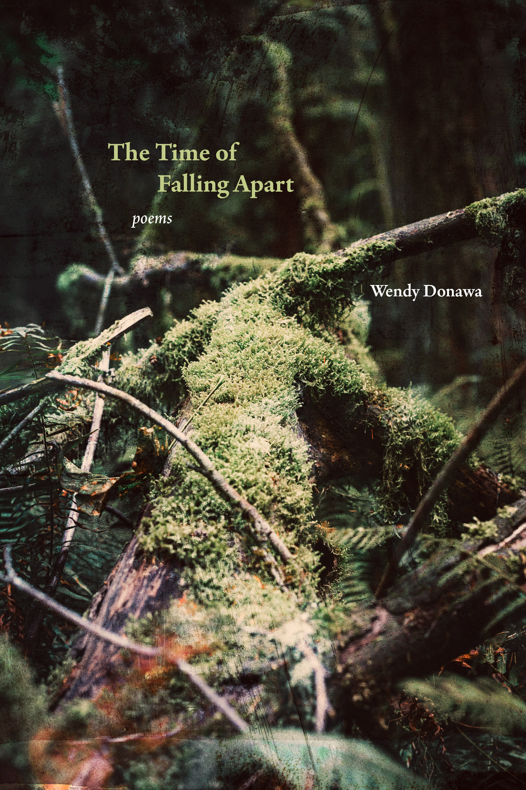 The Time of Falling Apart: Poems, by Wendy Donawa